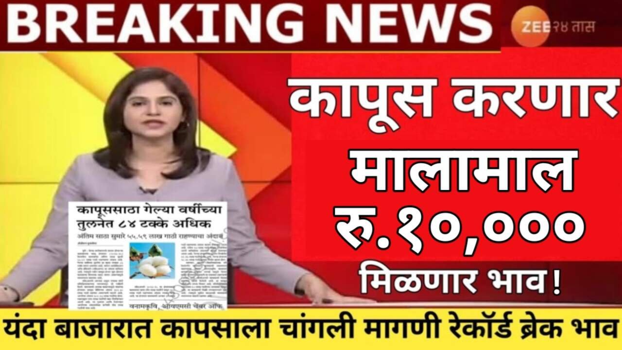 कापूस बाजारभावात 'मोठा बदल': आवक वाढली पण अपेक्षित दरवाढ मिळेना! योग्य भाव मिळण्यासाठी काय करावे ते पहा Cotton Rate Today