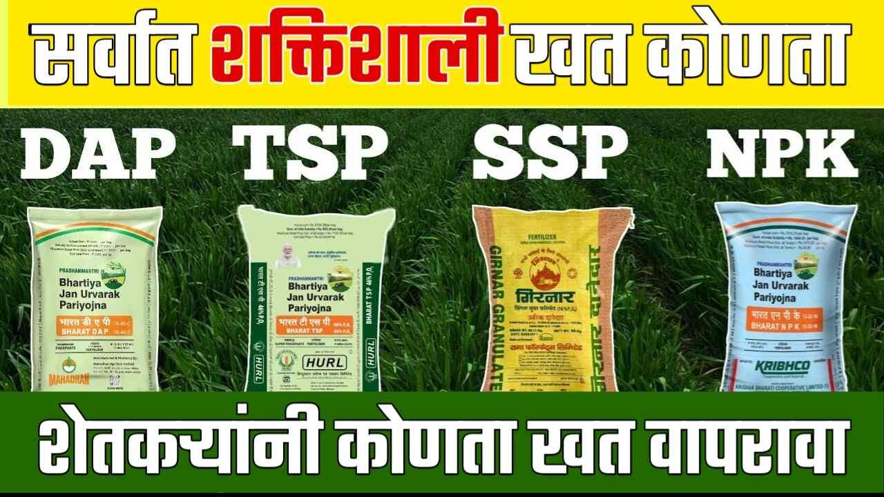 DAP, SSP, TSP आणि NPK: शेतकऱ्यांसाठी कोणतं खत आहे सर्वाधिक प्रभावी? जाणून घ्या कोणते खत शेतकऱ्यांनी वापरावे Crop Insurance List Update